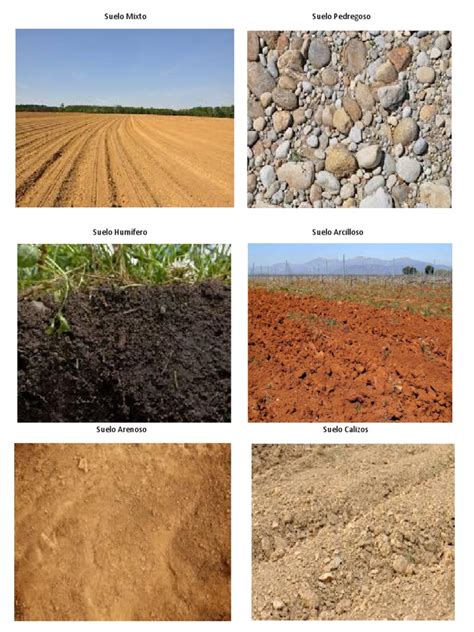 Los diferentes tipos de suelo.